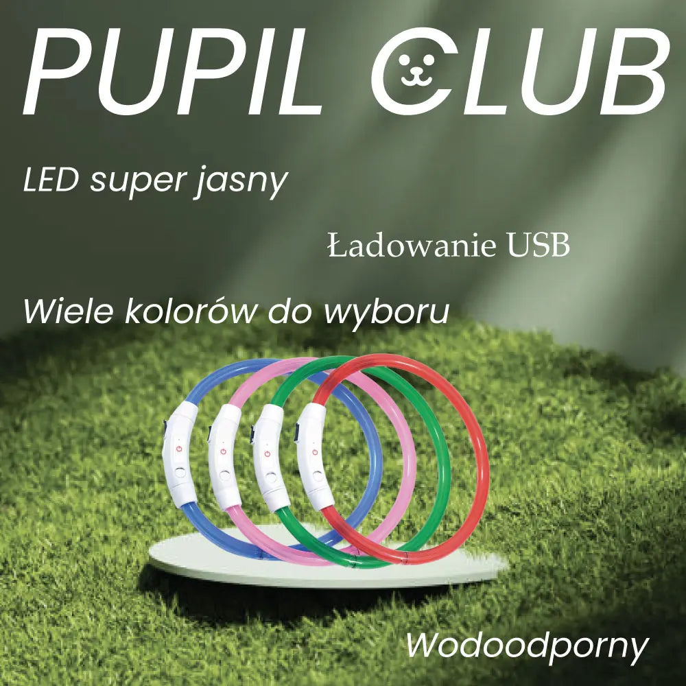 Obroża LED dla psa