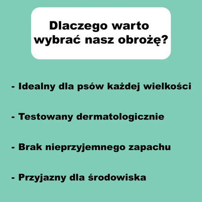 Obroża na kleszcze dla psa
