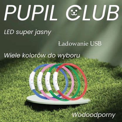 Obroża LED dla psa