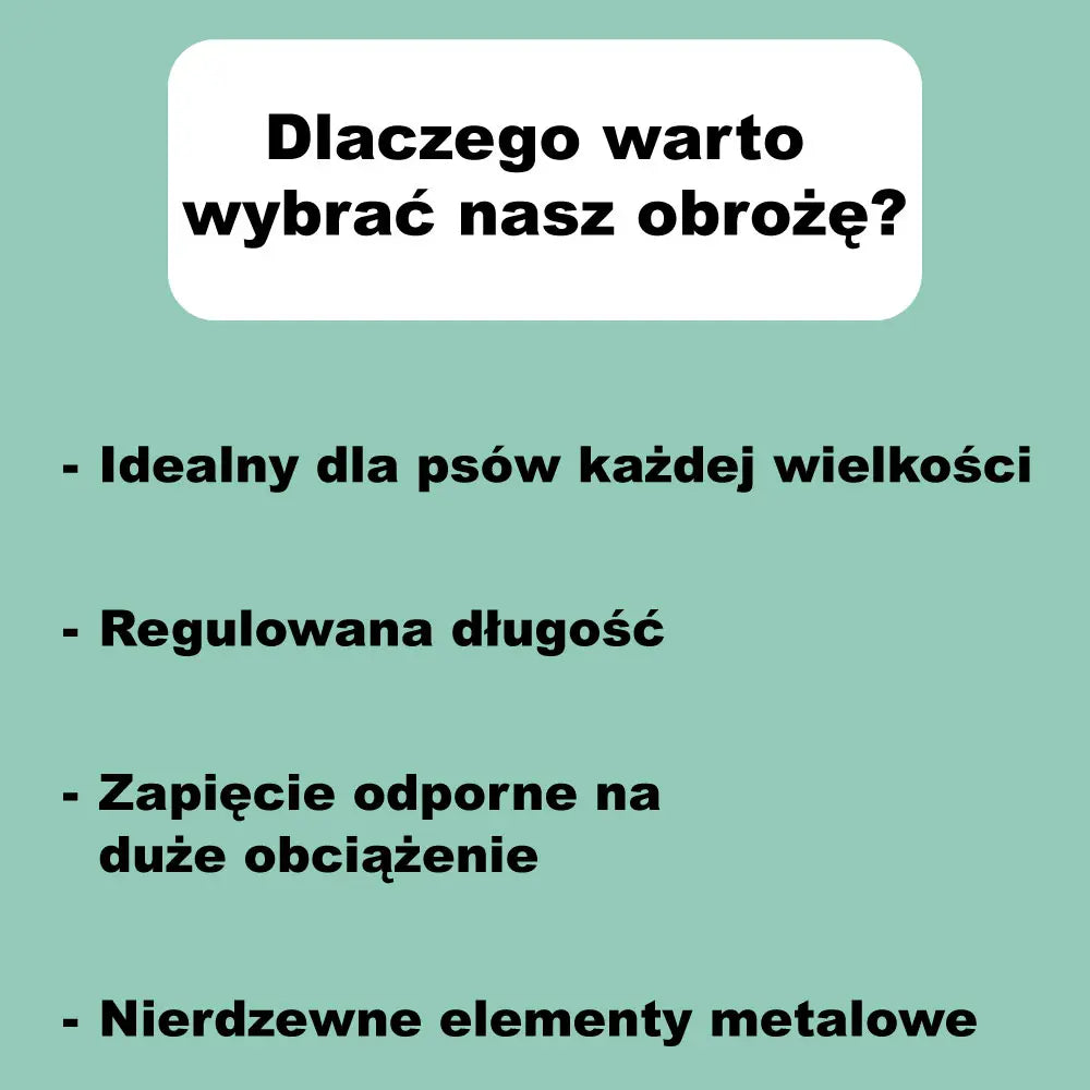 Obroża dla psa z imieniem