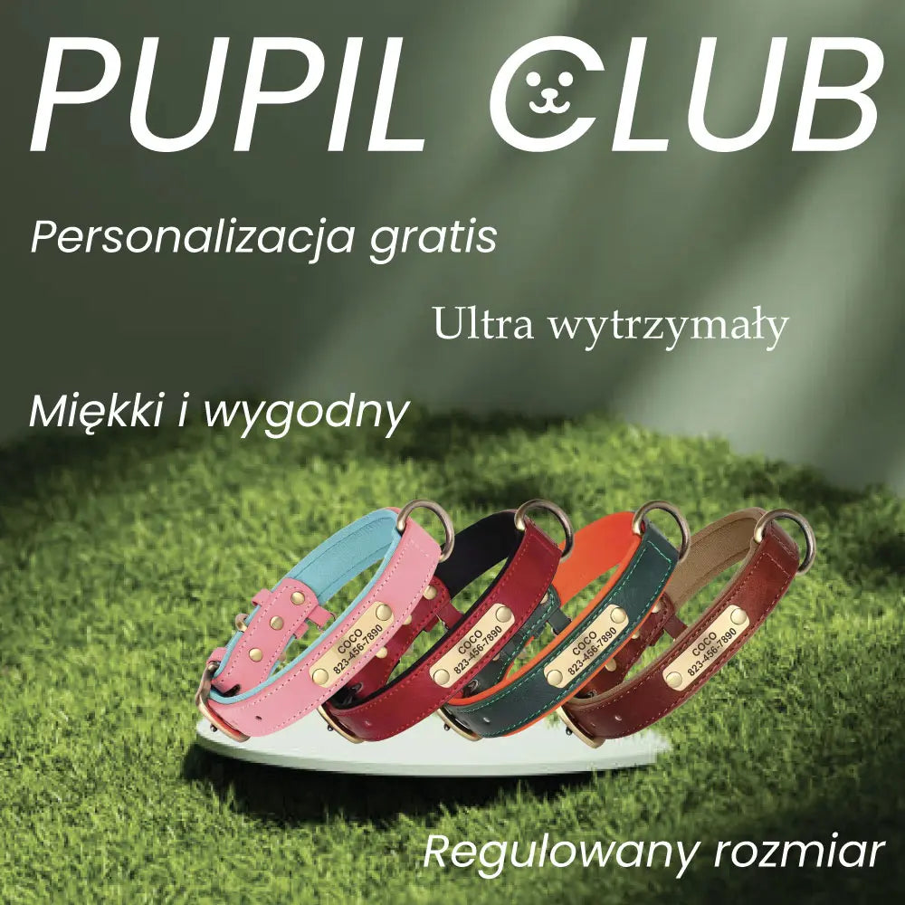 Obroża dla psa z imieniem