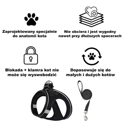 Szelki + smycz dla kota