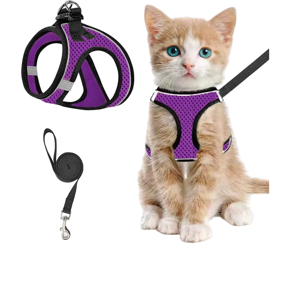 Szelki + smycz dla kota