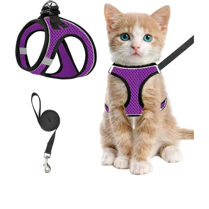 Szelki + smycz dla kota