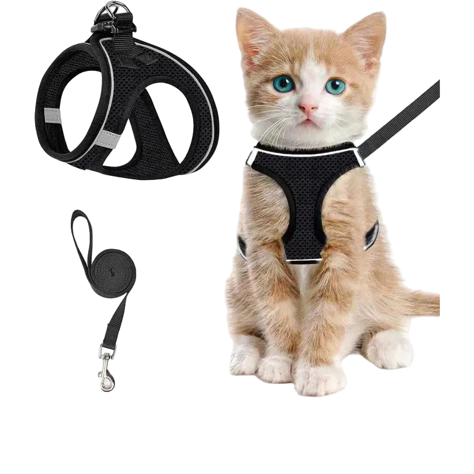 Szelki + smycz dla kota