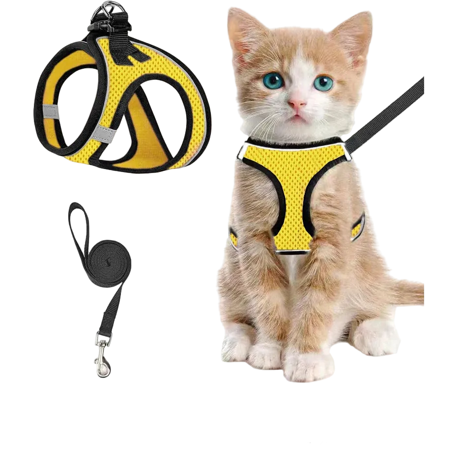 Szelki + smycz dla kota