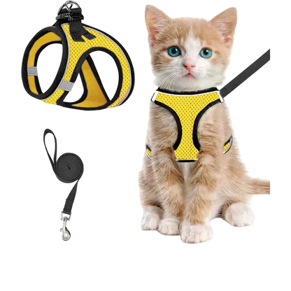 Szelki + smycz dla kota