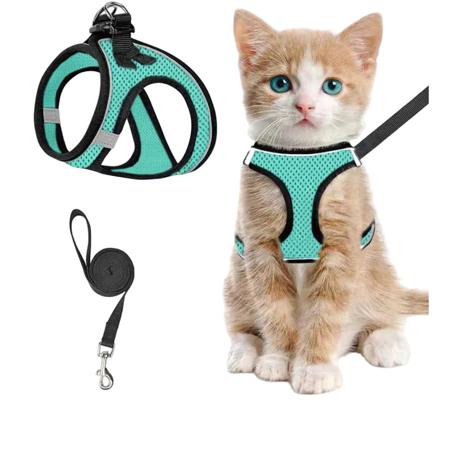 Szelki + smycz dla kota