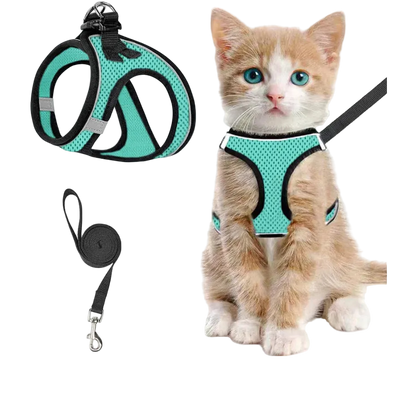 Szelki + smycz dla kota